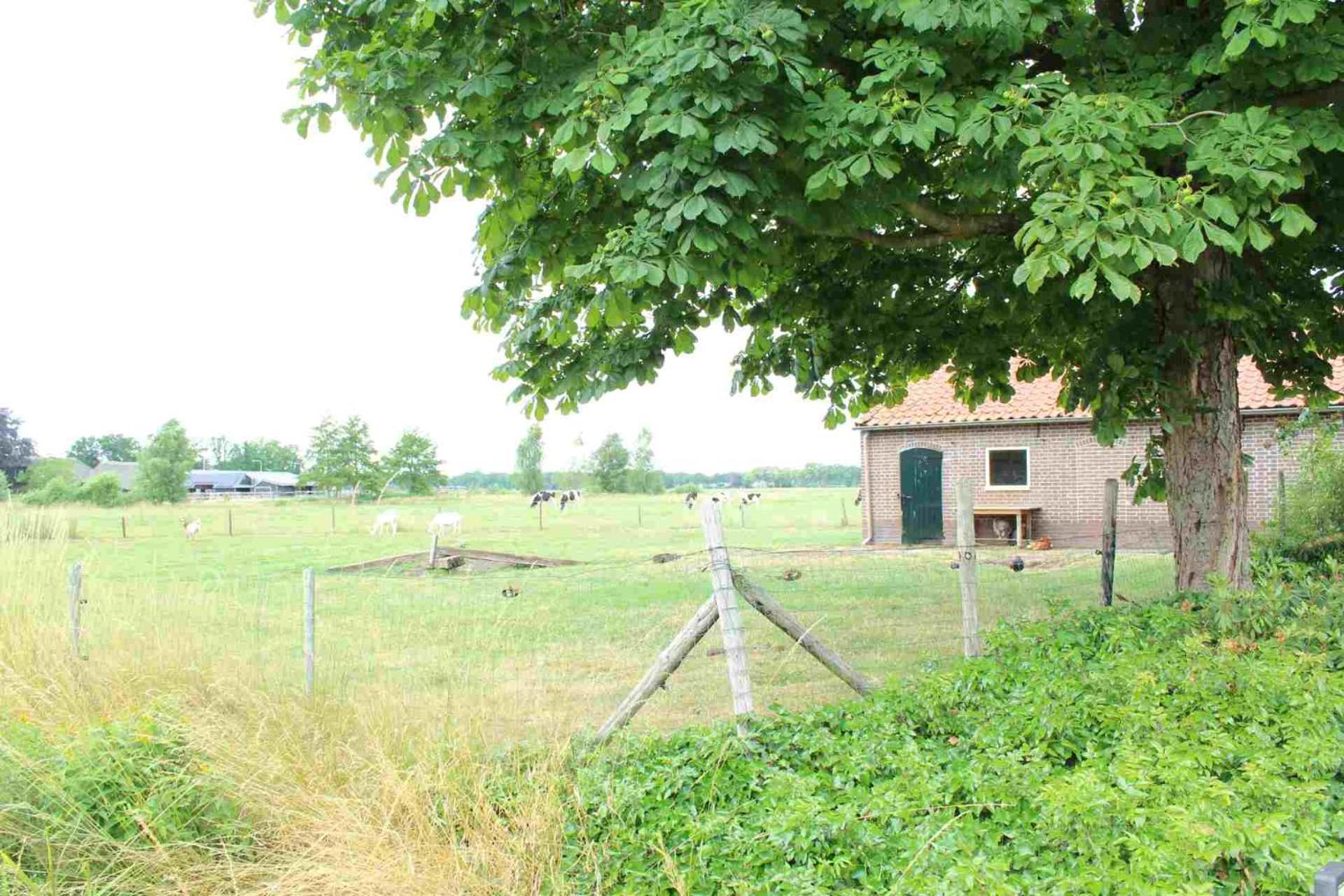 Hofstay195 Achterveld Dış mekan fotoğraf